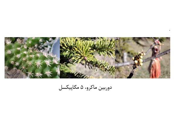 همه چیز در مورد پوکو اف تری شیائومی